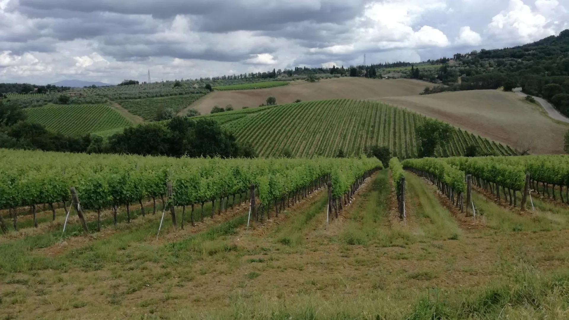 Agriturismo Podere la Cava Mercatale Val Di Pesa